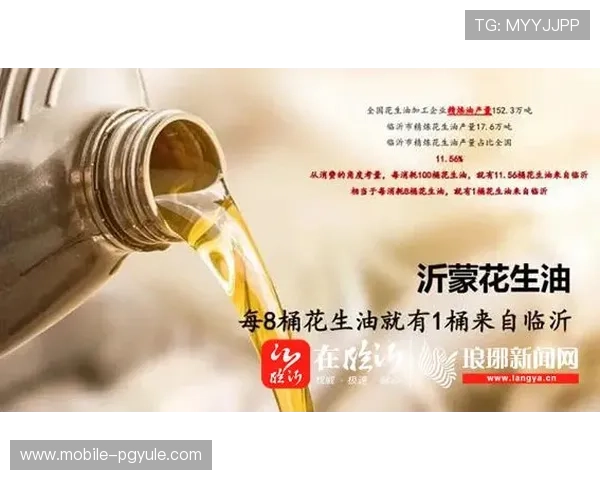 亚游PA端：用户案例分享与成功经验，助力企业快速上手与应用