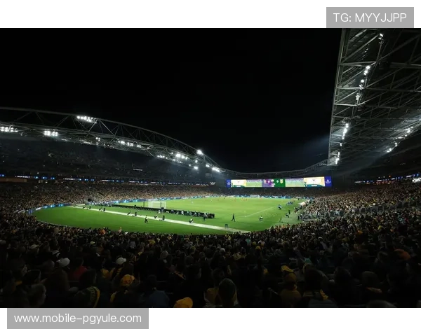 火博体育真人：体验最真实的体育比赛直播平台带你感受现场氛围