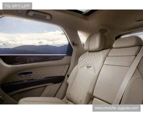 ag广东贵宾会高端服务介绍,打造极致尊贵的会员体验享受极致奢华生活 ag广东贵宾会高端服务介绍,打造极致尊贵的会员体验享受极致奢华生活