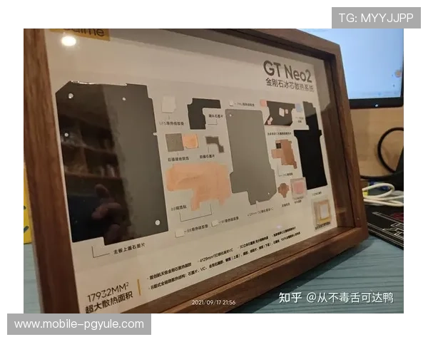 AG厅总部会员登录界面优化与安全保障措施分析 AG厅总部会员登录界面优化与安全保障措施分析