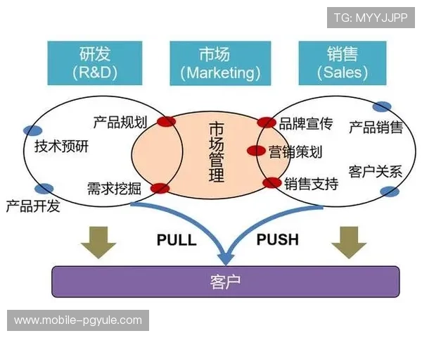 ag亚游国际市场成功案例分享：品牌建设与市场营销策略实现突破性增长
