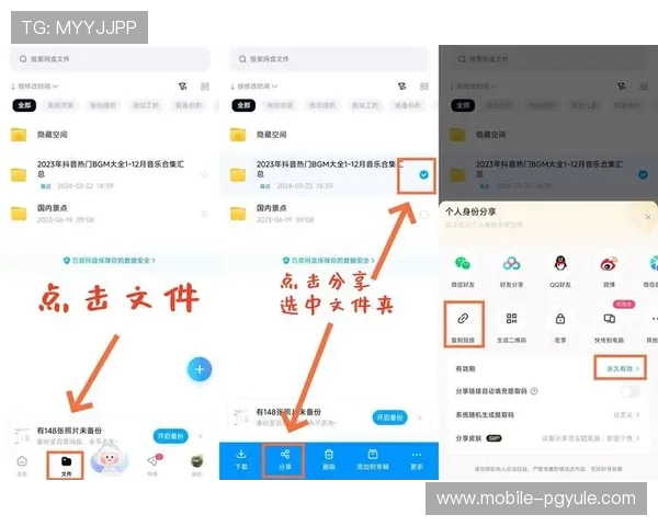 澳门百家乐app怎么玩转技巧，提升你的赢钱概率和游戏体验